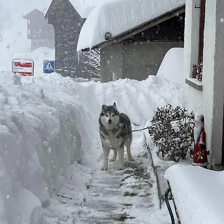 Apartman Haus Bortis *