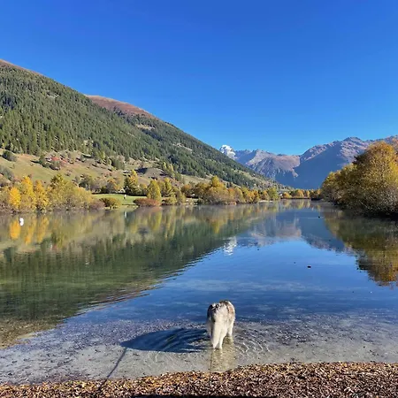 Apartman Haus Bortis *