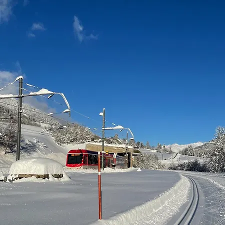 Apartman Haus Bortis *