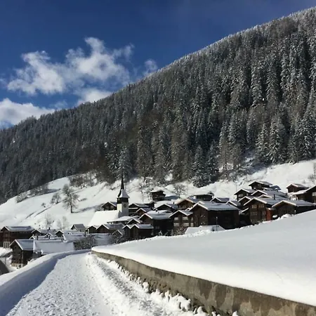 Lägenhet Haus Bortis *