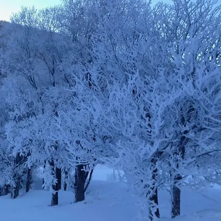 Haus Bortis Apartman *