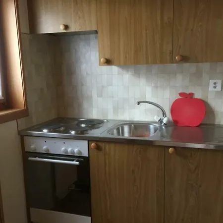 Apartment Haus Bortis Goms