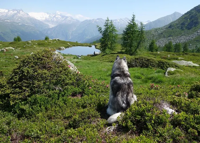 Haus Bortis Appartement Goms