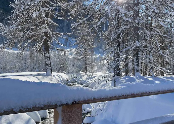 Haus Bortis Appartement