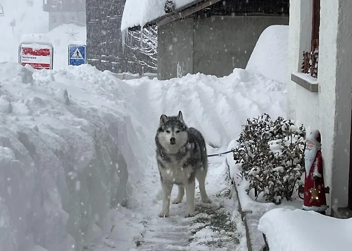 Appartement Haus Bortis *