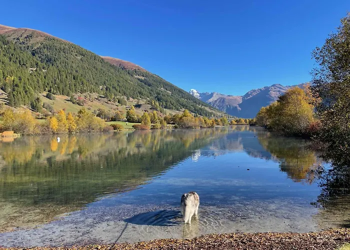 Appartement Haus Bortis *