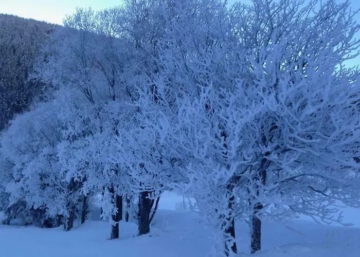 Haus Bortis Appartement *